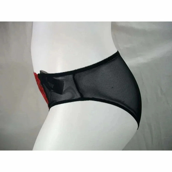 SMALL Paramour 675009 by Felina Ellie Hi Cut Bikini Panty Red Japanese Blossom - Picture 4 of 11